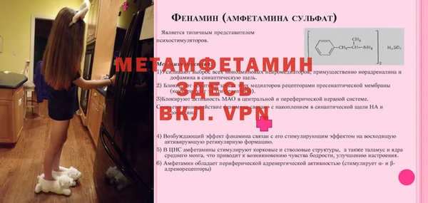 дмт Лиски