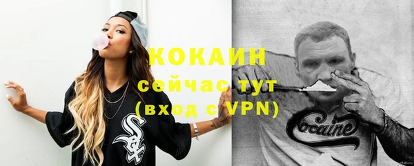 дмт Лиски