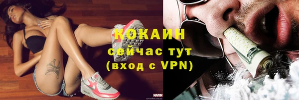 дмт Лиски