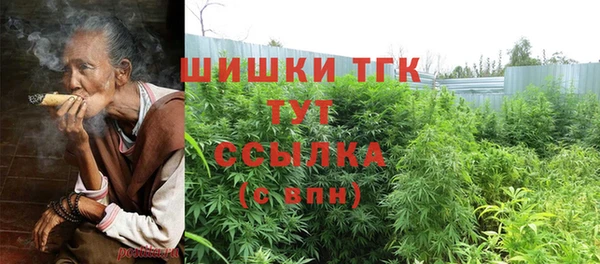дмт Лиски